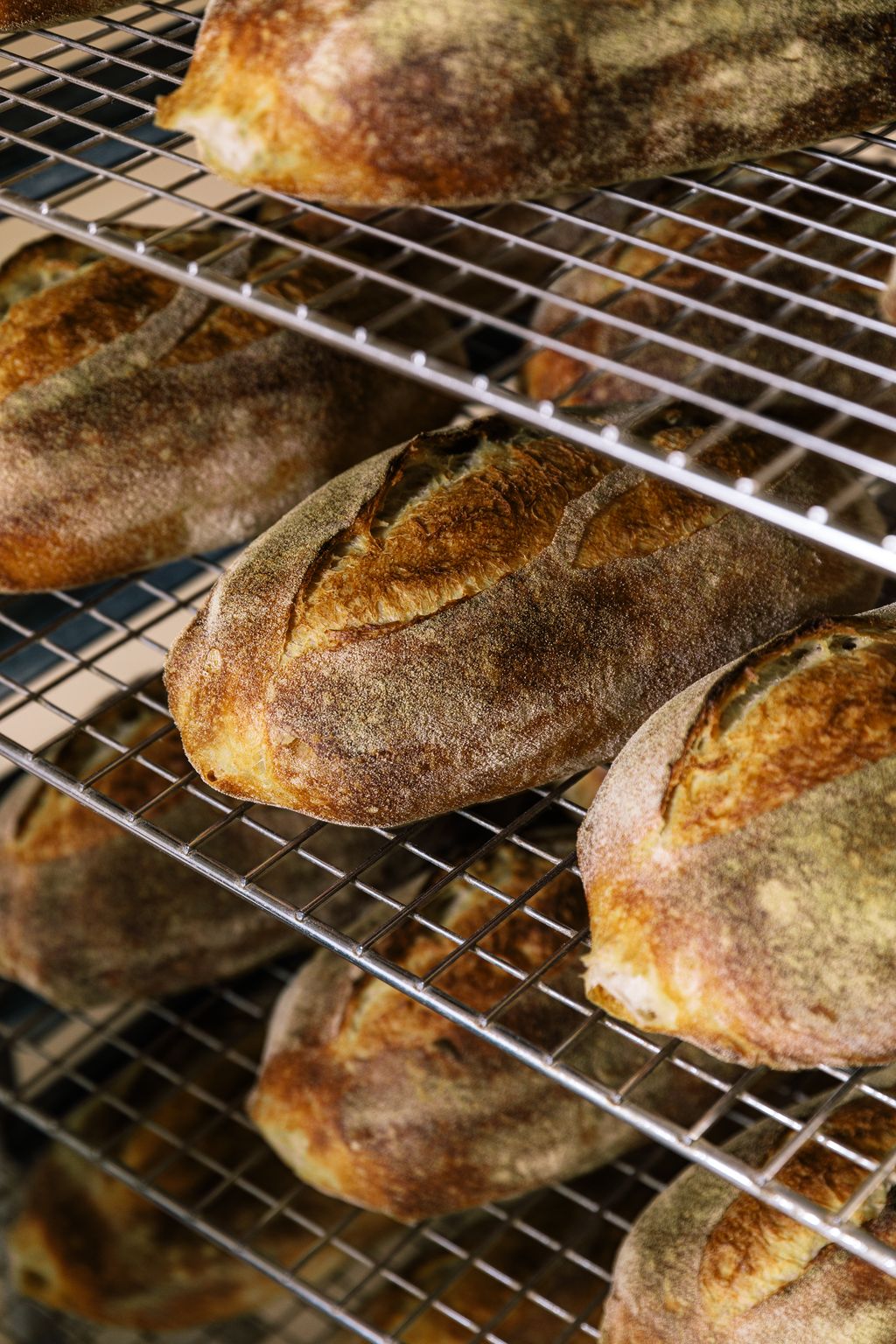 HOW TO KEEP YOUR BREAD FRESH