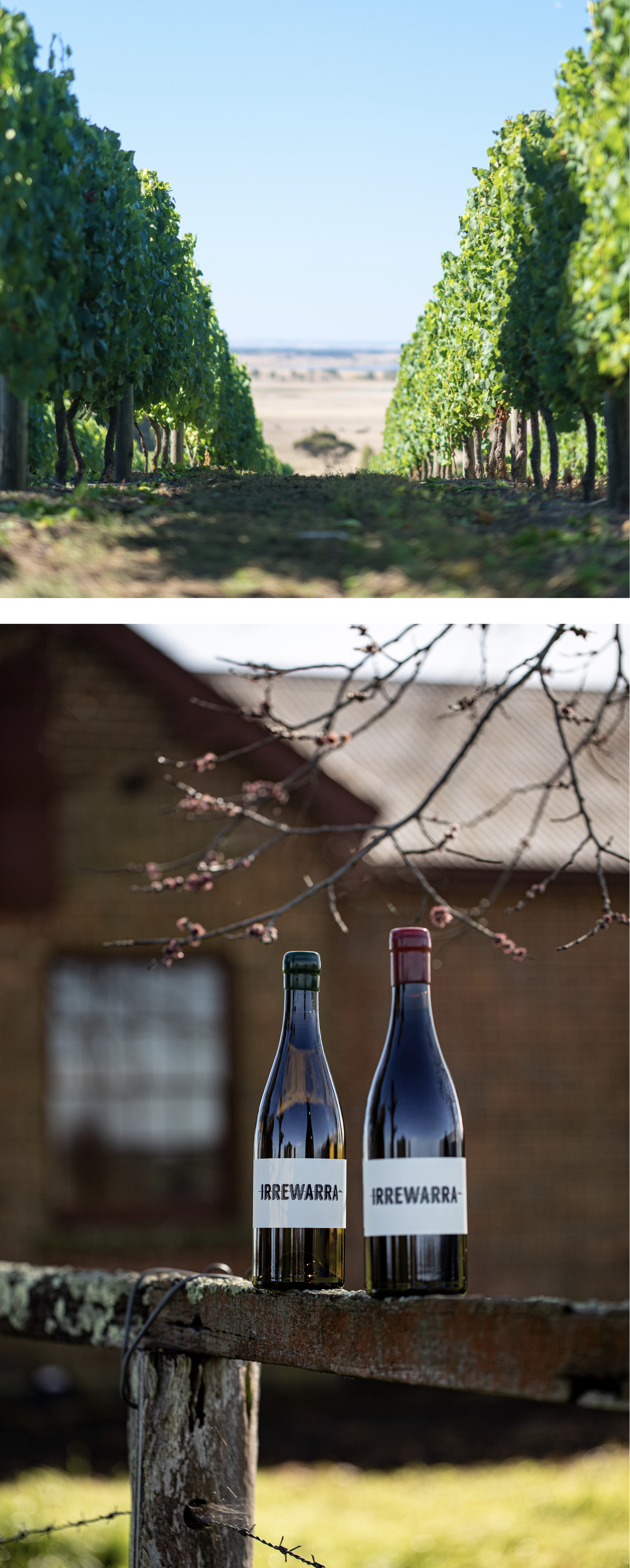 Irrewarra Wines